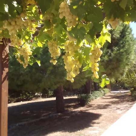 Il Mandorlo Platamona